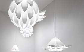 Showroom Jan 13